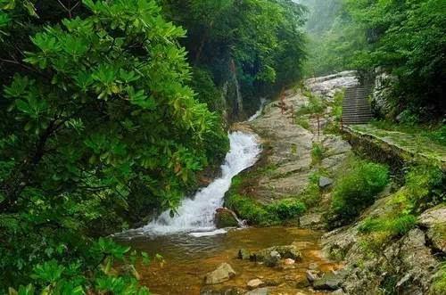 沪江开心词场